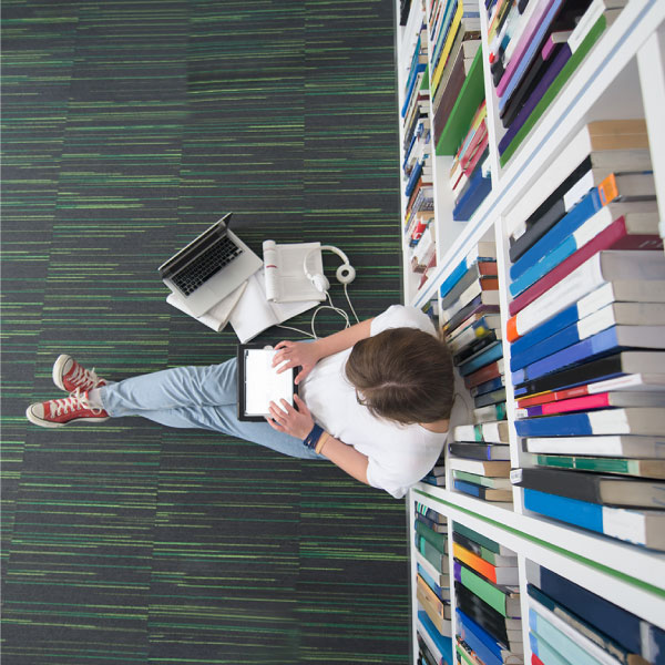 Biblioteca Digital Normadat