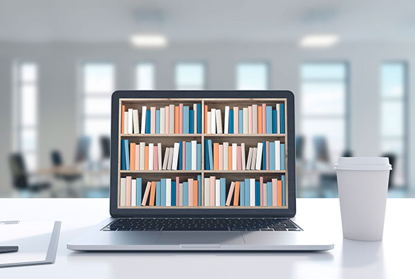 programa gestion biblioteca
